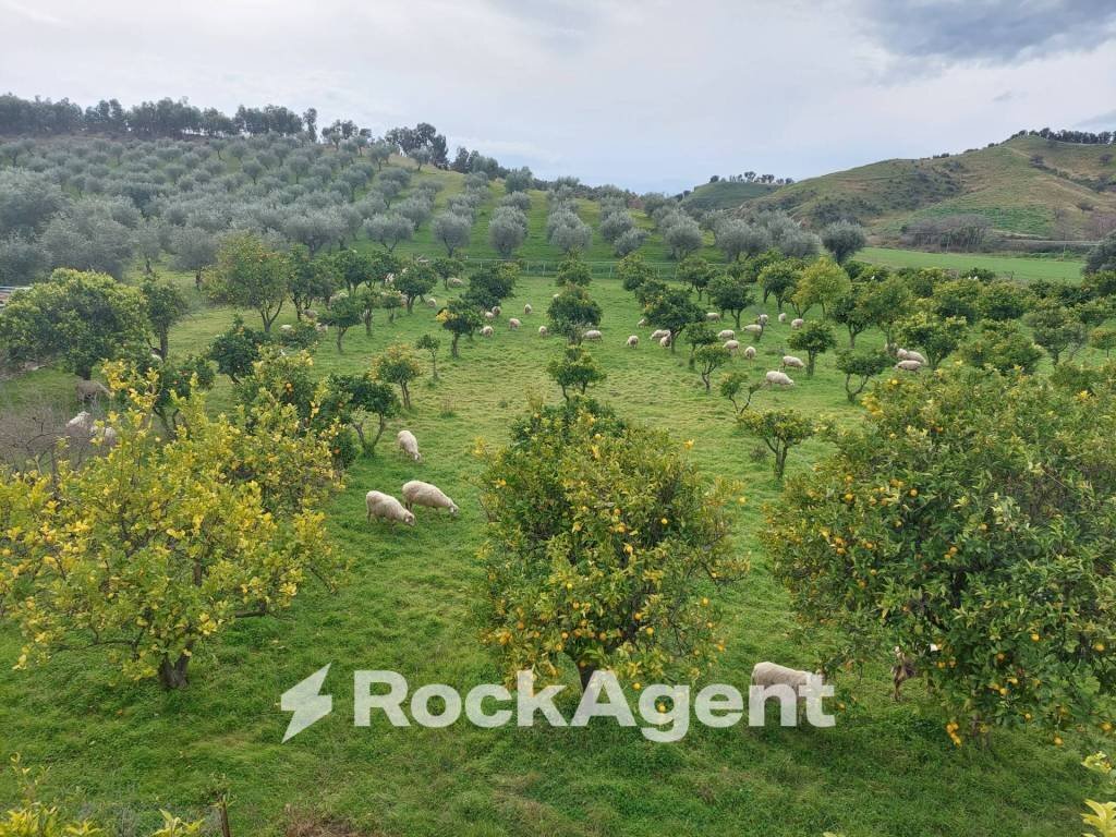 Vista - Terreno agricolo strada Statale 107 Silana Crotonese, Crotone - foto 1