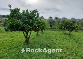 Terreno - Terreno agricolo strada Statale 107 Silana Crotonese, Crotone - foto 3