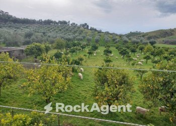 Vista - Terreno agricolo strada Statale 107 Silana Crotonese, Crotone - foto 7