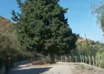 Zona - Rustic contrada Pantano, Reitano - photo 29