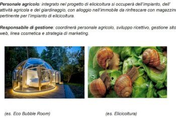 Altro - Rustic contrada Pantano, Reitano - photo 37