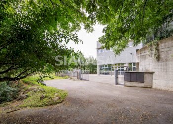 Foto 3 - Capannone Alserio - foto 3