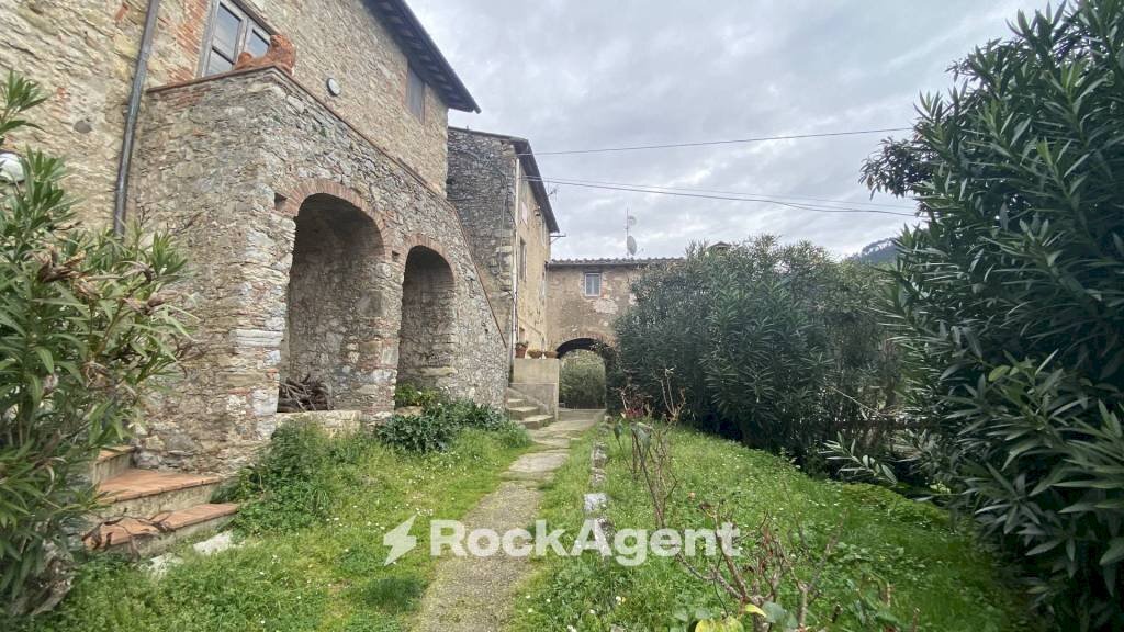Giardino - Casa indipendente strada Comunale di Nocchi, 131, Camaiore - foto 3