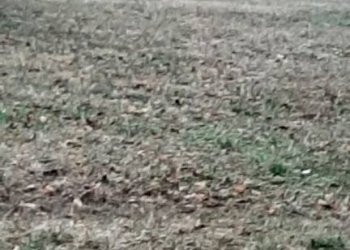 Zona - Villa via al Lago, Varsi - foto 5