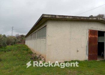 Terreno - Casa indipendente contrada san sergio mammola, Mammola - foto 16