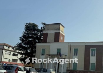 Zona - Negozio via Argini Sud, Montechiarugolo - foto 3