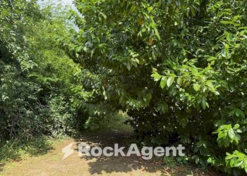 Giardino - Villa LOCALITA' GOTRA, Albareto - photo 15