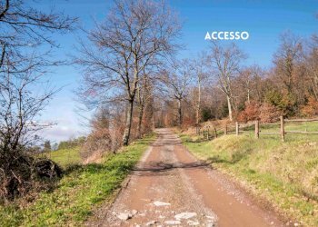 STRADA DI ACCESSO - Rustico LOC. CASA CINCIGLIANO
 
SNC, Roccastrada - foto 2