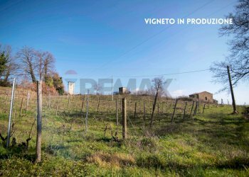 VIGNETO - Rustico LOC. CASA CINCIGLIANO
 
SNC, Roccastrada - foto 3