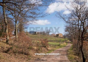 TERRENO CON VISTA PANORAMICA - Rustico LOC. CASA CINCIGLIANO
 
SNC, Roccastrada - foto 29