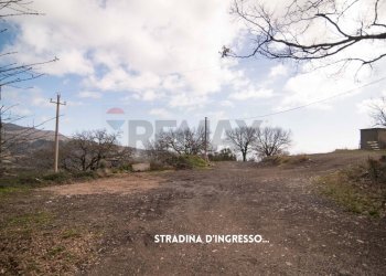 STRADA DI ACCESSO - Rustico LOC. CASA CINCIGLIANO
 
SNC, Roccastrada - foto 30