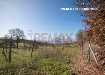 VIGNETO - Rustico LOC. CASA CINCIGLIANO
 
SNC, Roccastrada - foto 31