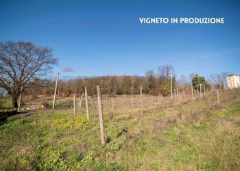 VIGNETO - Rustico LOC. CASA CINCIGLIANO
 
SNC, Roccastrada - foto 32