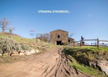 STRADA DI ACCESSO - Rustico LOC. CASA CINCIGLIANO
 
SNC, Roccastrada - foto 38
