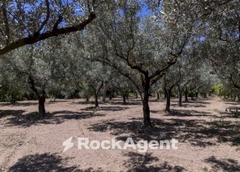 Terreno - Villa Località Zilleria, Gasperina - foto 37