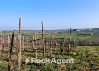 Terreno - Rustico FRAZIONE CAMPORELLO 5, San Damiano al Colle - foto 6
