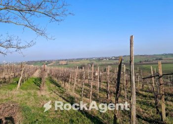 Terreno - Rustico FRAZIONE CAMPORELLO 5, San Damiano al Colle - foto 7