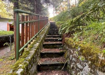 Giardino - Villa via Casa Mezzanotte, Pievepelago - foto 20