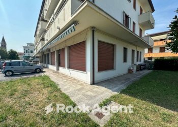 Giardino - Negozio via Roma, 121, Pianiga - foto 10