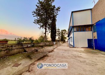 Foto 7 - Capannone via scarano
 
s n c, Capua - foto 7