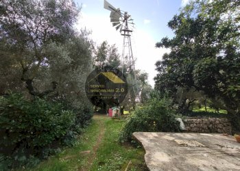 Foto 33 - Villa via corana
 
84, Cisterna di Latina - photo 33