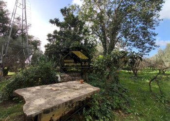 Foto 34 - Villa via corana
 
84, Cisterna di Latina - photo 34