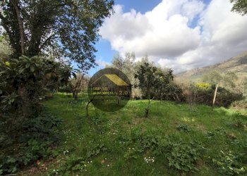 Foto 35 - Villa via corana
 
84, Cisterna di Latina - photo 35