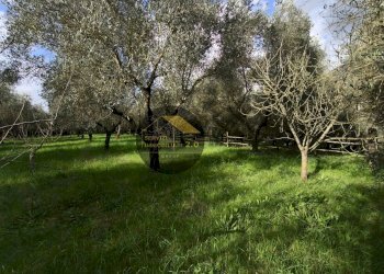 Foto 45 - Villa via corana
 
84, Cisterna di Latina - photo 45