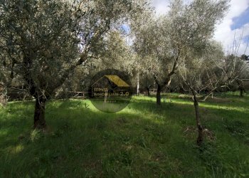 Foto 46 - Villa via corana
 
84, Cisterna di Latina - photo 46