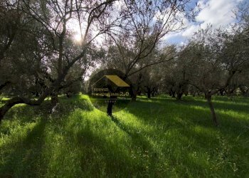 Foto 47 - Villa via corana
 
84, Cisterna di Latina - photo 47