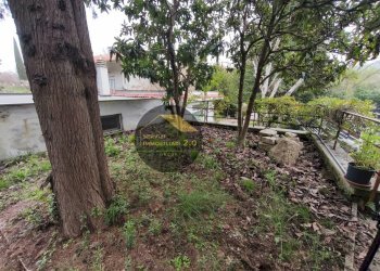 Foto 95 - Villa Via Pecile
 
18, Tivoli - photo 95