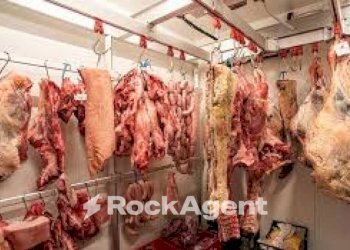 Interno non residenziale - Alimentari - Gastronomia via Borgo Padova, Piove di Sacco - foto 5