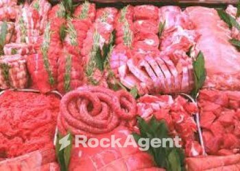 Terreno - Alimentari - Gastronomia via Borgo Padova, Piove di Sacco - foto 7