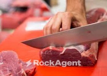 Altro - Alimentari - Gastronomia via Borgo Padova, Piove di Sacco - foto 8