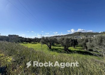 Terreno - Terreno edificabile viale Magna Grecia, Catanzaro - foto 4