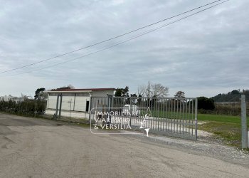 Foto 2 - Magazzino via del Guado, Massarosa - foto 2