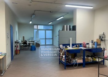 Foto 11 - Magazzino via Virgilio
 
100, Viareggio - foto 11