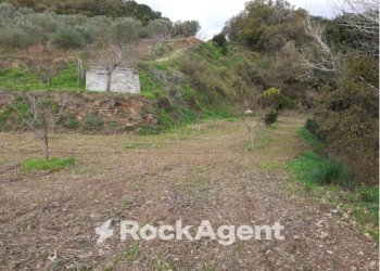 Terreno - Terreno agricolo contrada Mortella, Marcellinara - foto 9