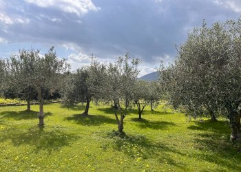 Foto 11 - Villa Villaputzu - photo 11