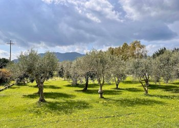 Foto 12 - Villa Villaputzu - photo 12