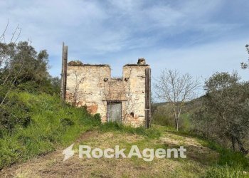 Terreno - Rustic SP 45, Moscufo - photo 1