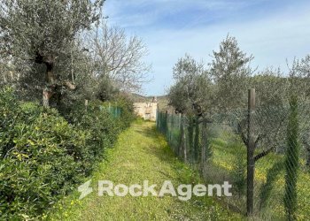 Terreno - Rustic SP 45, Moscufo - photo 10