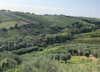 Vista - Casa indipendente contrada Piane, 76, Francavilla al Mare - foto 21
