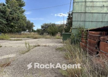 Terreno - Shed via Pedine, Tollo - photo 11