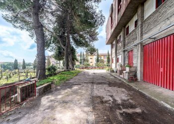 Foto 24 - Office San Giovanni la Punta - photo 24