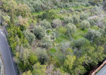 Foto 103 - Office San Giovanni la Punta - photo 103