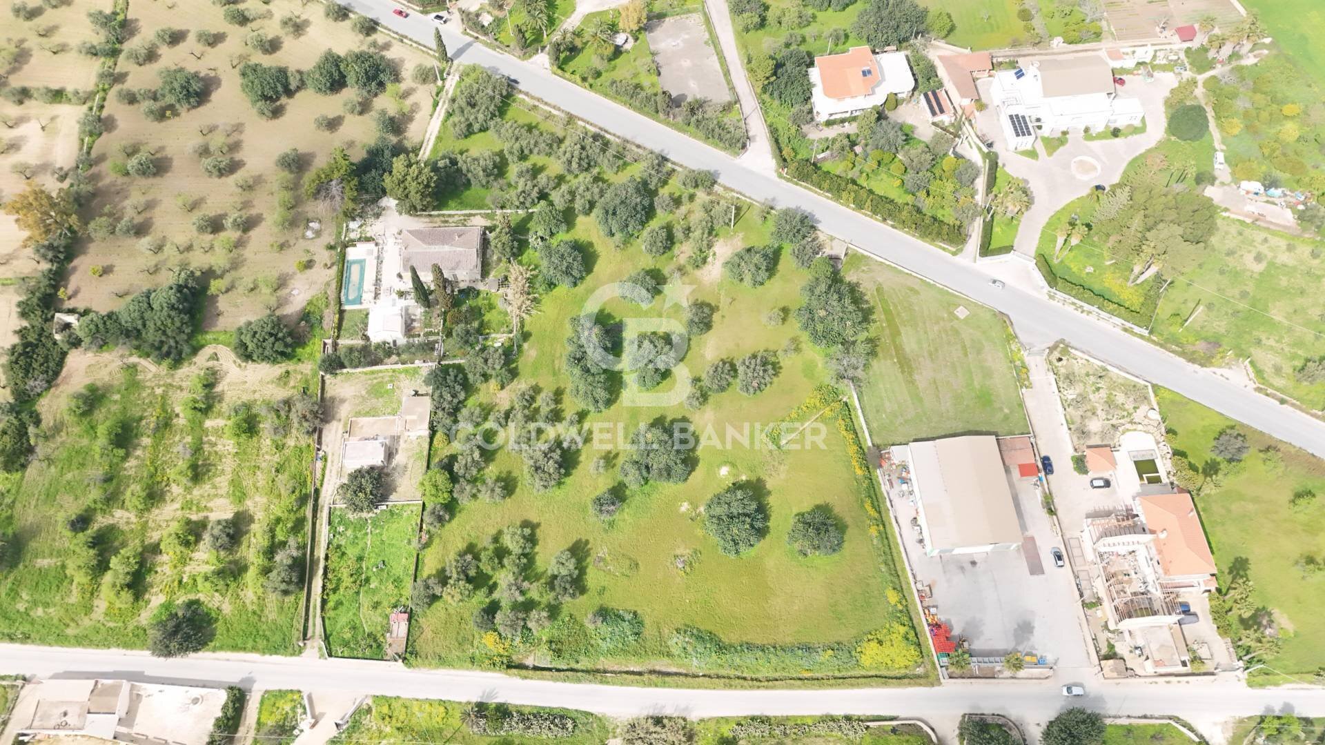 Foto 3 - Terreno edificabile C.DA ZACCHITA
 
SNC, Rosolini - foto 3