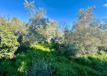 Foto 43 - Villa Via Ombra, Mascalucia - foto 43