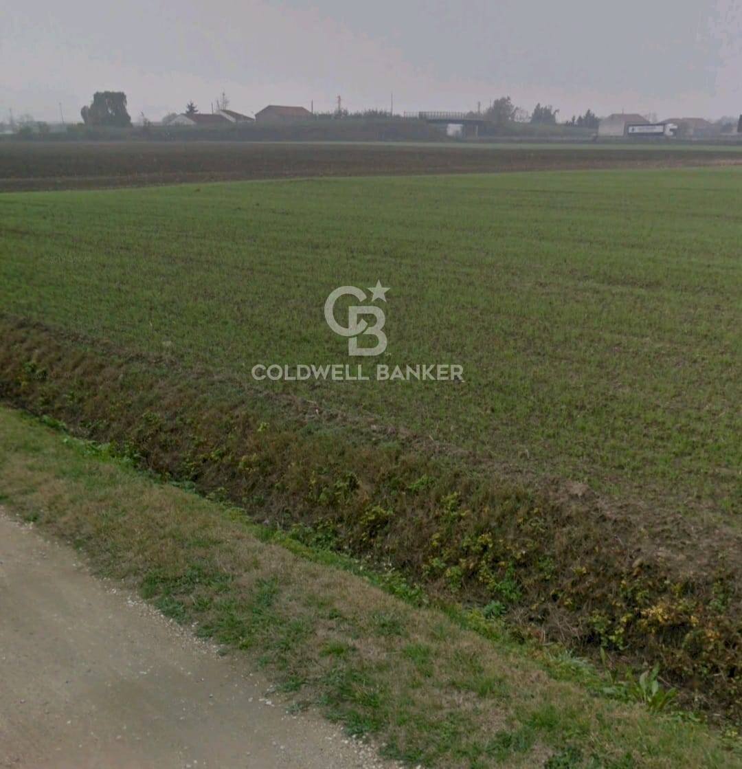 Foto 3 - Terreno edificabile Via Bassa Cimitero
0, Villamarzana - foto 3