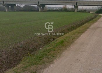 Foto 2 - Terreno edificabile Via Bassa Cimitero
 
0, Villamarzana - foto 2